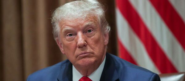 Donald Trump, presidente de EEUU - Sputnik Mundo