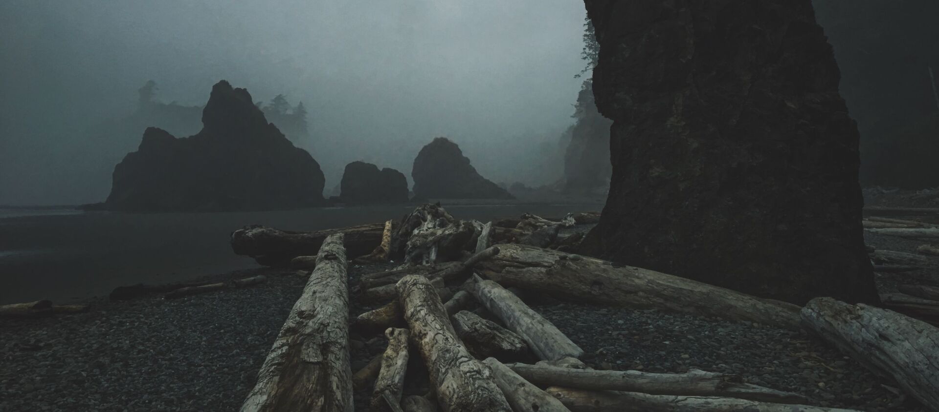 Un paisaje sombrío - Sputnik Mundo, 1920, 04.08.2020