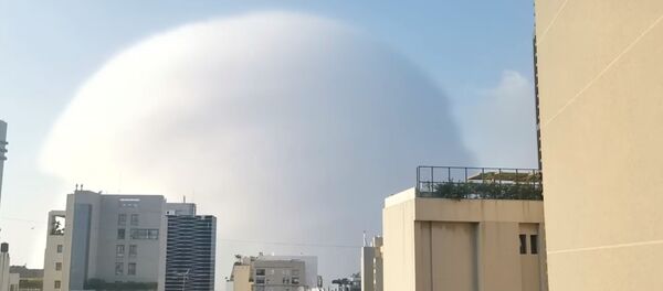 Explosión en Beirut, el 4 de agosto de 2020 - Sputnik Mundo