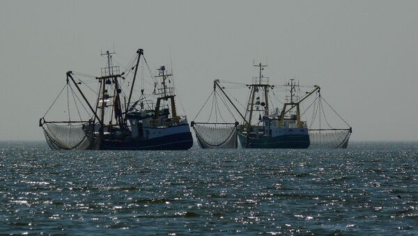 Barcos pesqueros - Sputnik Mundo