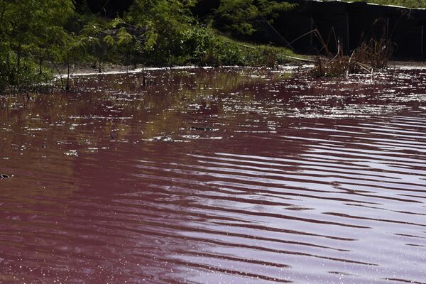 ¿Qué tiñó de rojo un lago en Paraguay? - Sputnik Mundo