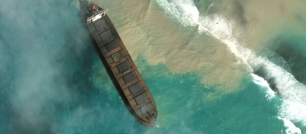 MV Wakashio, un buque que encalló frente a la costa sureste de Mauricio MV Wakashio, un buque que encalló frente a la costa sureste de Mauricio - Sputnik Mundo