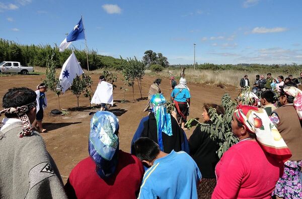 La oligarquía antimapuche en Chile: una herida que nunca dejó de sangrar La oligarquía antimapuche en Chile: una herida que nunca dejó de sangrar - Sputnik Mundo