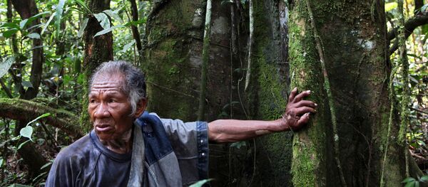 Un hombre de la etnia ticuna en la Amazonía colombiana (imagen referencial) - Sputnik Mundo