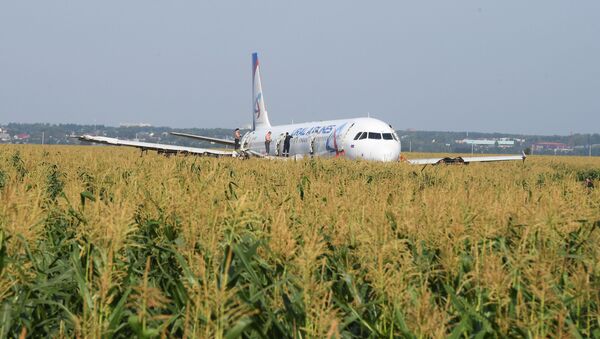 Un avión de pasajeros hizo un aterrizaje de emergencia en la región de Moscú - Sputnik Mundo