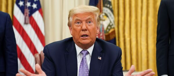 Donald Trump, el presidente de EEUU - Sputnik Mundo