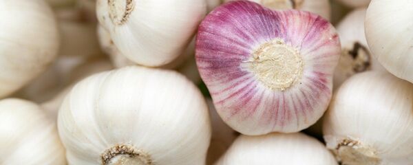 El ajo - Sputnik Mundo