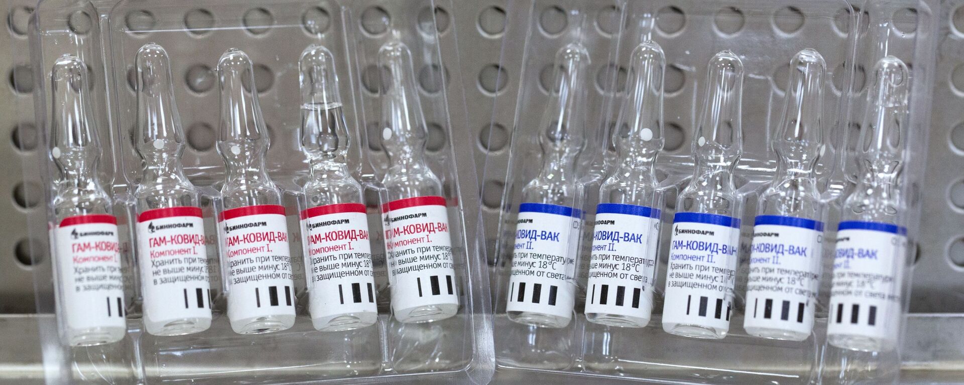 Producción de la vacuna rusa contra el COVID-19 Producción de la vacuna rusa contra el COVID-19 - Sputnik Mundo, 1920, 11.10.2021