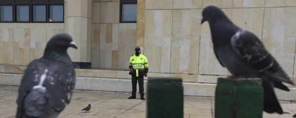 Un policía colombiano, foto de archivo - Sputnik Mundo