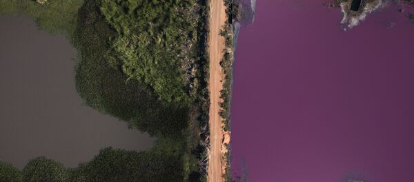 Contaminación de la laguna Cerro, Paraguay Contaminación de la laguna Cerro, Paraguay - Sputnik Mundo
