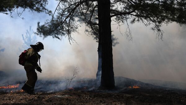 Incendios forestales en Rusia (archivo) - Sputnik Mundo