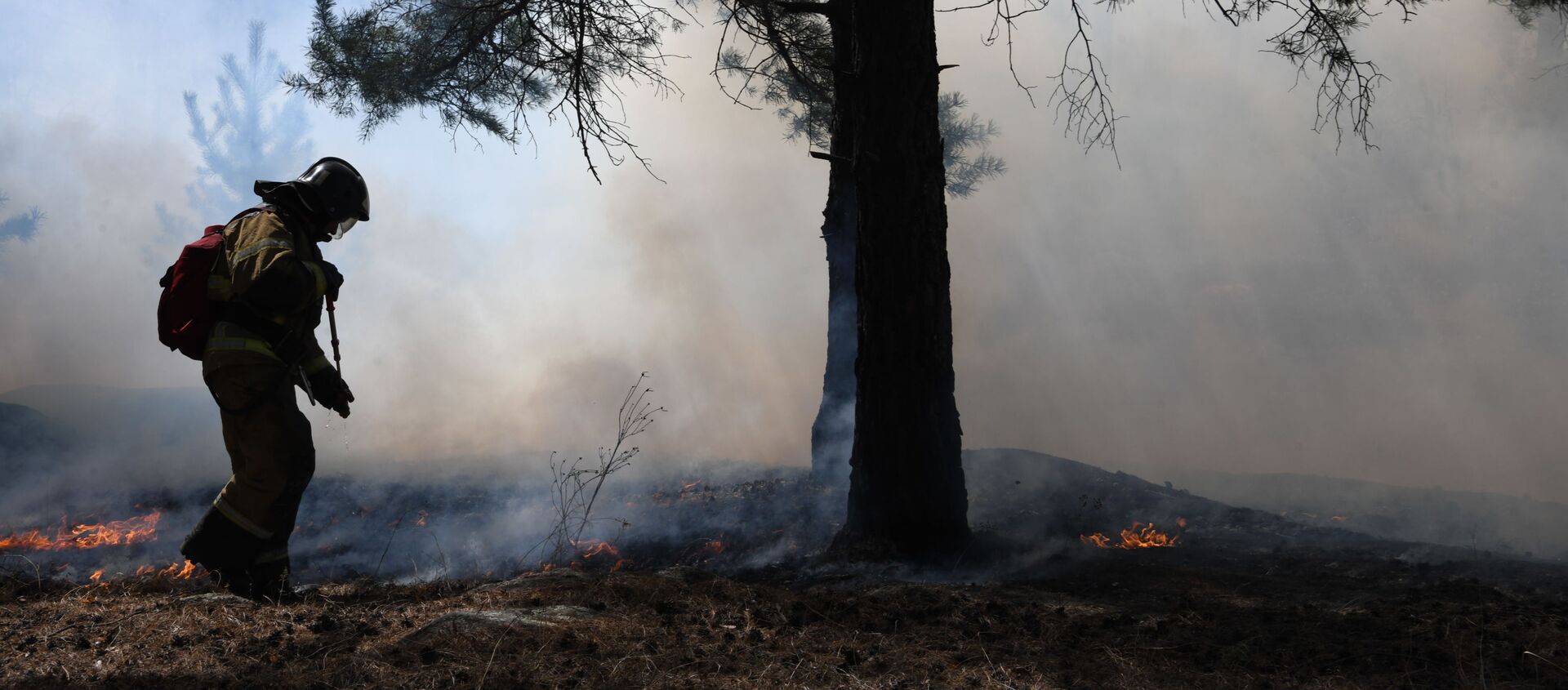 Incendios forestales en Rusia (archivo) - Sputnik Mundo, 1920, 18.08.2020