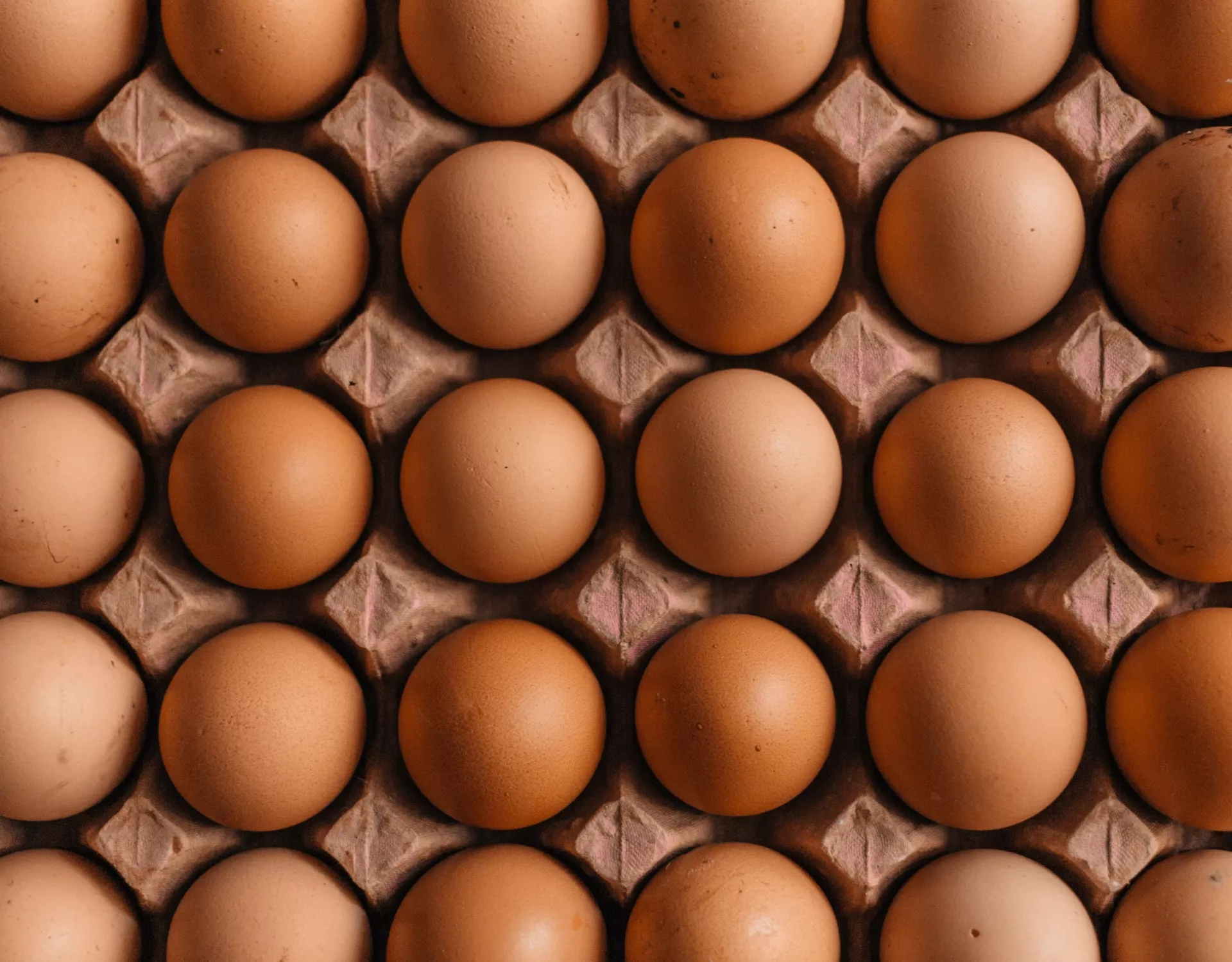 Huevos - Sputnik Mundo, 1920, 16.10.2023
