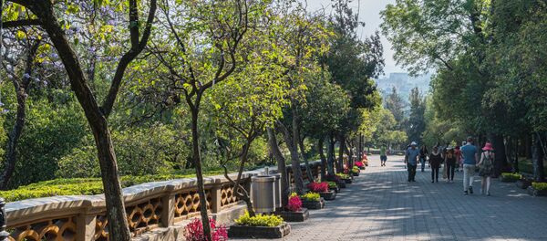 Bosque de Chaputelpec - Sputnik Mundo