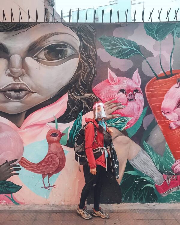 'Un pasillo mágico' que ayudó a una bloguera rusa a volver de Perú en pleno bloqueo de vuelos - Sputnik Mundo