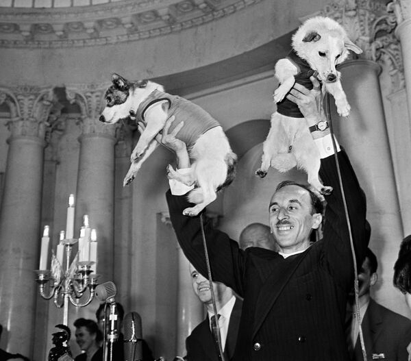 Belka y Strelka, las 2 perritas callejeras que se convirtieron en cosmonautas

 - Sputnik Mundo