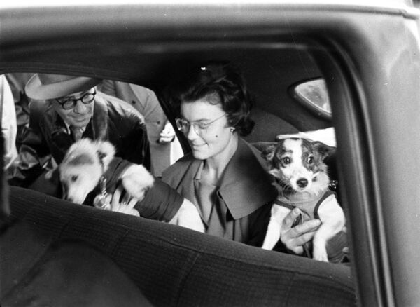 Belka y Strelka, las 2 perritas callejeras que se convirtieron en cosmonautas

 - Sputnik Mundo