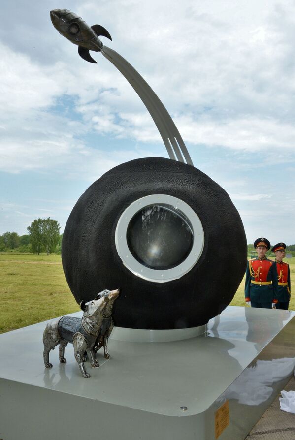 Belka y Strelka, las 2 perritas callejeras que se convirtieron en cosmonautas

 - Sputnik Mundo