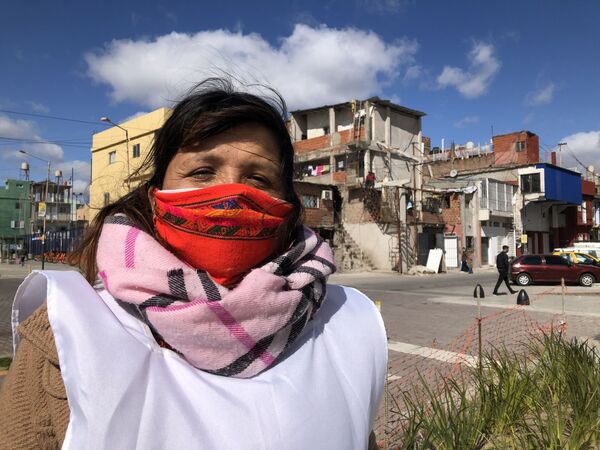 Cómo el SARS-CoV-2 agudiza la desigualdad de la educación en Argentina - Sputnik Mundo