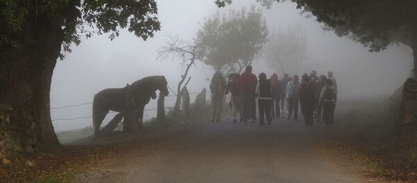 Imagen de archivo del Camino de Santiago  - Sputnik Mundo