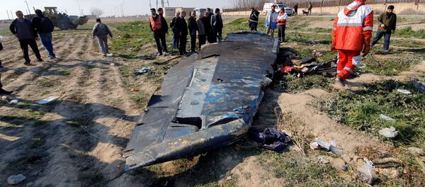 El lugar del siniestro del Boeing 737-800 de Ukraine International Airlines - Sputnik Mundo