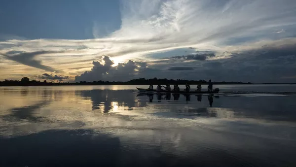 Parque nacional de la Amazonia (Brasil)