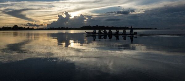 Parque nacional de la Amazonia (Brasil) - Sputnik Mundo