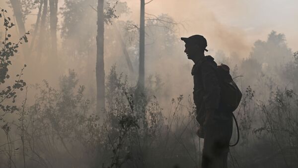 Incendios forestales (imagen referencial) Incendios forestales (imagen referencial) - Sputnik Mundo