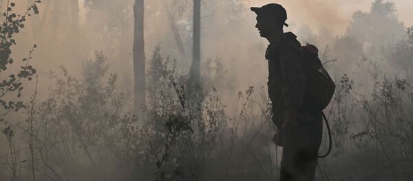 Incendios forestales (imagen referencial) Incendios forestales (imagen referencial) - Sputnik Mundo
