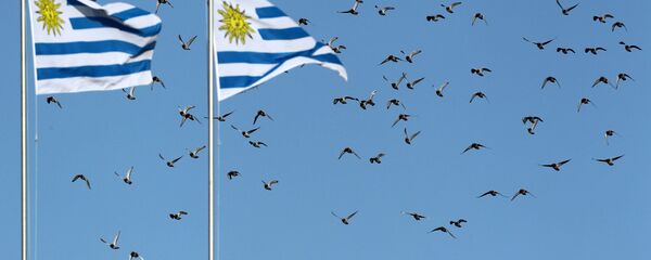 Banderas de Uruguay. Imagen referencial - Sputnik Mundo