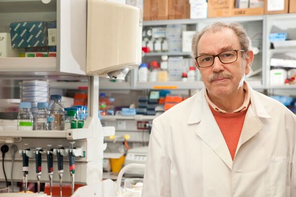 Vacunas españolas del COVID-19: no serán las primeras, pero priman la seguridad y la eficacia - Sputnik Mundo