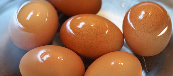 Huevos en el agua - Sputnik Mundo