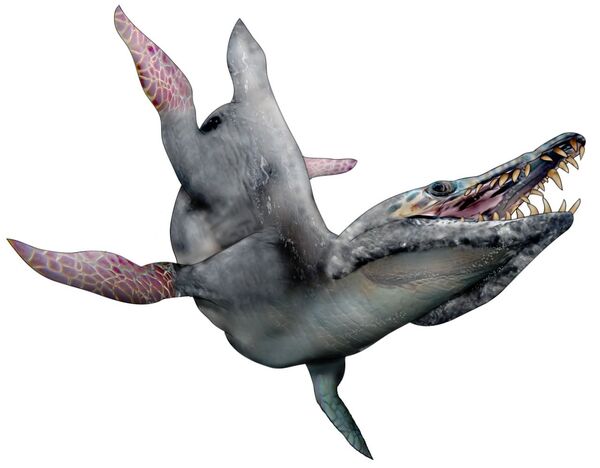 Descubren el animal más mortífero del período Jurásico en Chile | Fotos - Sputnik Mundo