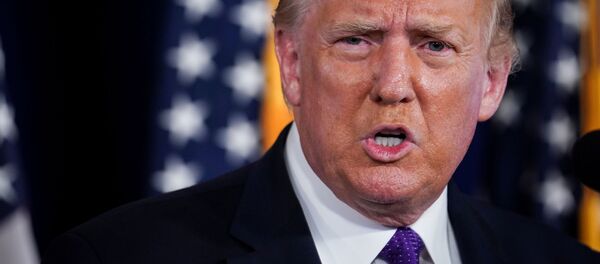 Donald Trump, presidente de EEUU (archivo) - Sputnik Mundo