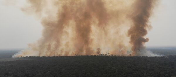 La situación en Amazonía - Sputnik Mundo
