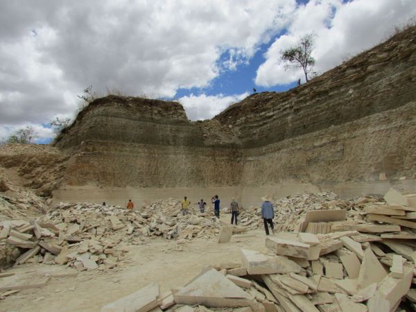 Hallan nueva especie de rana de hace 119 millones de años con la panza llena | Fotos Hallan nueva especie de rana de hace 119 millones de años con la panza llena | Fotos - Sputnik Mundo