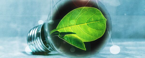 Energía verde (imagen referencial) - Sputnik Mundo