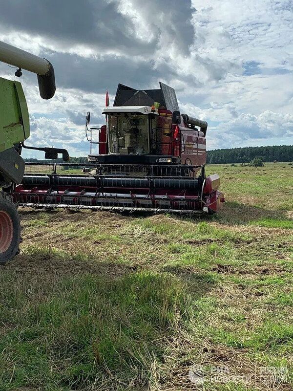 Cómo vive el pueblo natal de Lukashenko tras 26 años de Gobierno - Sputnik Mundo