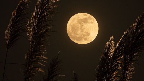 La luna llena - Sputnik Mundo