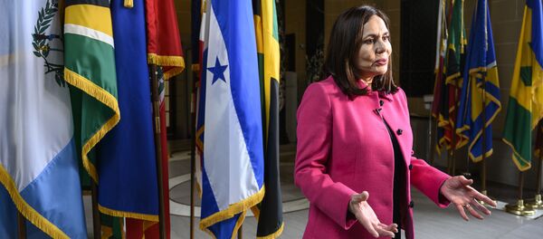 Karen Longaric, cancller de Bolivia - Sputnik Mundo