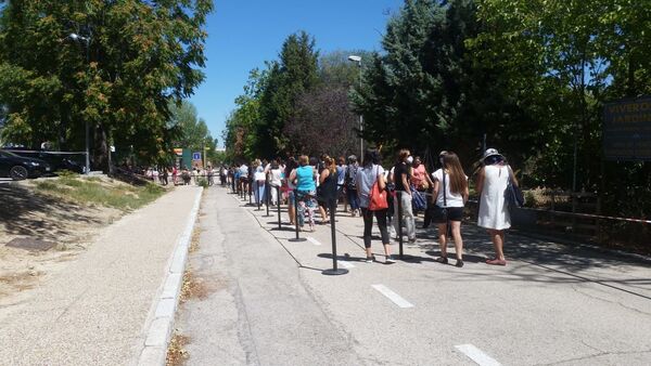 Colas en un instituto de Madrid donde se realizan pruebas de coronavirus a profesores Colas en un instituto de Madrid donde se realizan pruebas de coronavirus a profesores - Sputnik Mundo