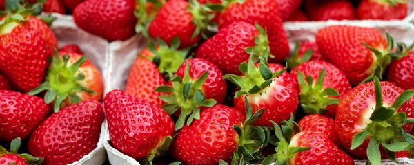 Fresa - Sputnik Mundo