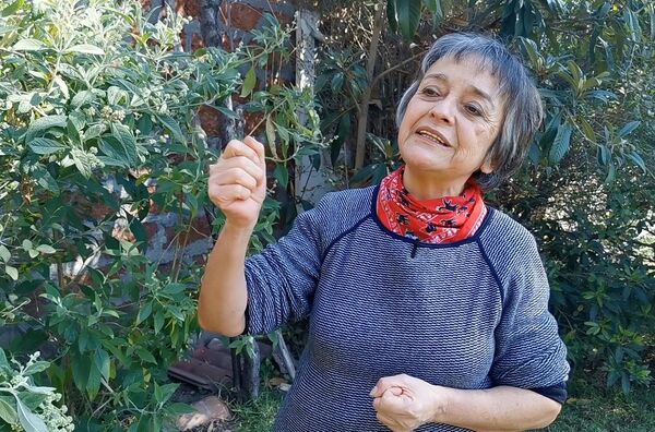 A 50 años del triunfo de Salvador Allende en Chile - Sputnik Mundo