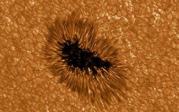 Una mancha solar observada en alta resolución por el telescopio GREGOR en la longitud de onda de 430 nm - Sputnik Mundo