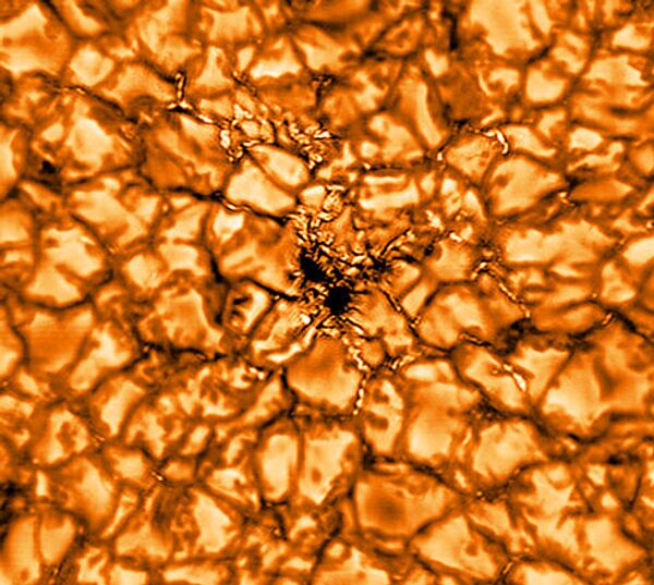 El mayor telescopio solar de Europa, GREGOR, revela intrincadas estructuras de campos magnéticos solares de muy alta resolución. La imagen fue tomada a la longitud de onda de 516 nm - Sputnik Mundo