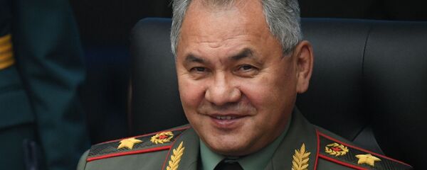 Serguéi Shoigú, el ministro ruso de Defensa - Sputnik Mundo