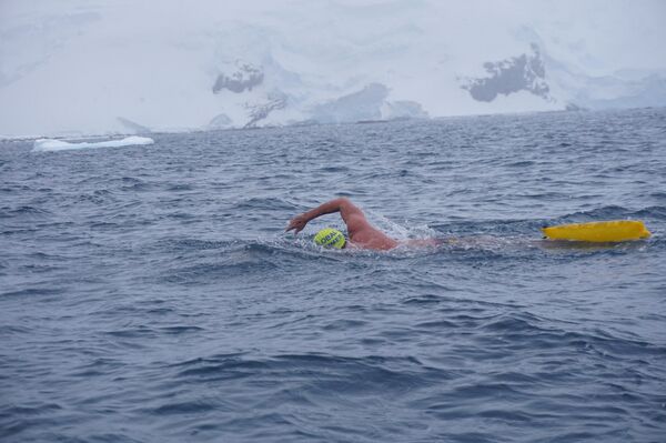 Desde la fría Antártida a las aguas del Titicaca: el nadador del hielo tiene nombre español - Sputnik Mundo