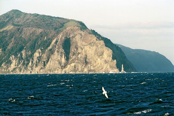 Cabo Aniva en la isla Sajalín - Sputnik Mundo