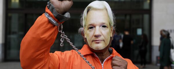 Un manifestante por la liberación del fundador de Wikileaks, Julian Assange - Sputnik Mundo