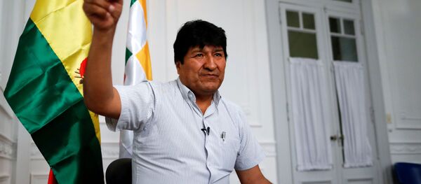 Evo morales, expresidente de Bolivia Evo morales, expresidente de Bolivia - Sputnik Mundo